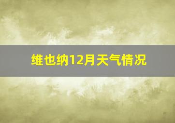 维也纳12月天气情况