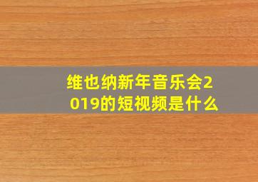 维也纳新年音乐会2019的短视频是什么