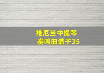 维厄当中提琴奏鸣曲谱子35