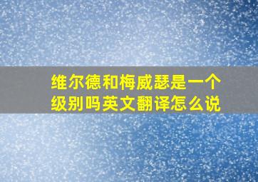 维尔德和梅威瑟是一个级别吗英文翻译怎么说