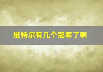 维特尔有几个冠军了啊