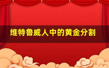 维特鲁威人中的黄金分割