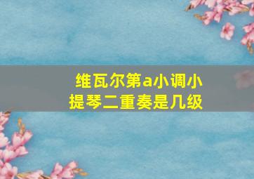 维瓦尔第a小调小提琴二重奏是几级