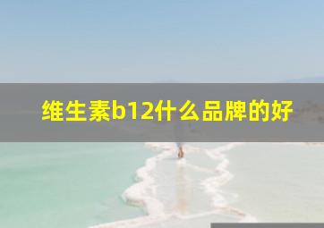 维生素b12什么品牌的好