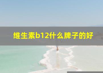 维生素b12什么牌子的好