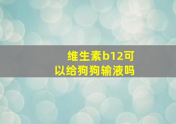 维生素b12可以给狗狗输液吗