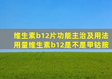 维生素b12片功能主治及用法用量维生素b12是不是甲钴胺