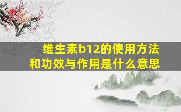 维生素b12的使用方法和功效与作用是什么意思