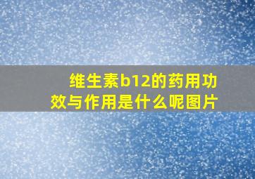 维生素b12的药用功效与作用是什么呢图片