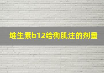 维生素b12给狗肌注的剂量