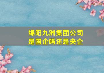 绵阳九洲集团公司是国企吗还是央企