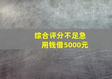 综合评分不足急用钱借5000元