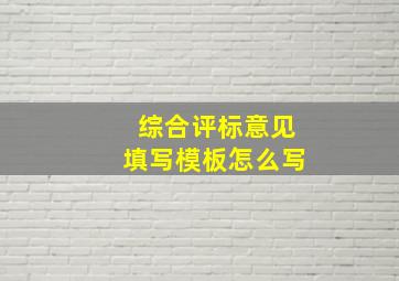 综合评标意见填写模板怎么写