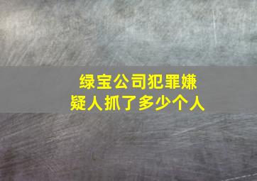 绿宝公司犯罪嫌疑人抓了多少个人