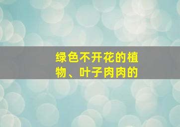 绿色不开花的植物、叶子肉肉的