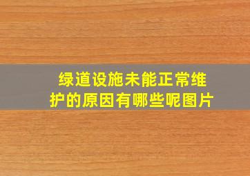 绿道设施未能正常维护的原因有哪些呢图片