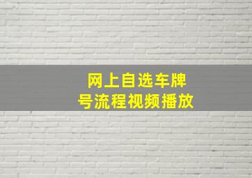 网上自选车牌号流程视频播放