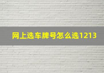 网上选车牌号怎么选1213