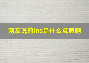 网友说的ins是什么意思啊