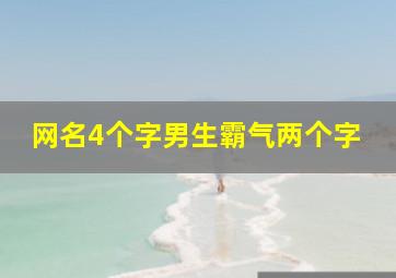 网名4个字男生霸气两个字