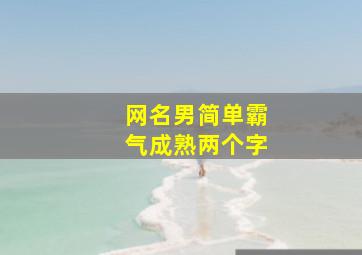 网名男简单霸气成熟两个字