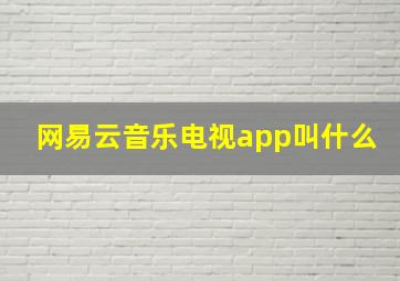 网易云音乐电视app叫什么