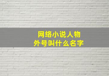 网络小说人物外号叫什么名字