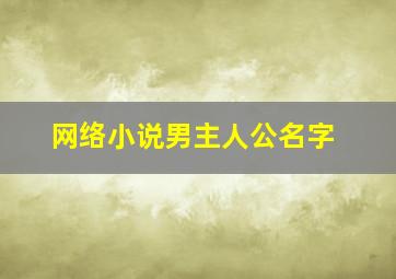 网络小说男主人公名字