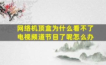 网络机顶盒为什么看不了电视频道节目了呢怎么办