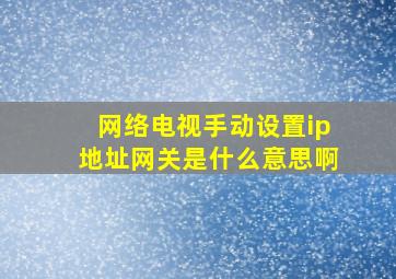 网络电视手动设置ip地址网关是什么意思啊