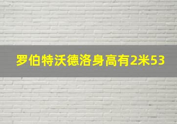 罗伯特沃德洛身高有2米53