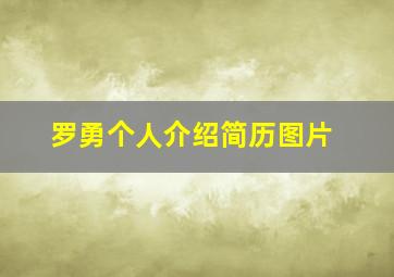 罗勇个人介绍简历图片