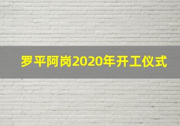 罗平阿岗2020年开工仪式