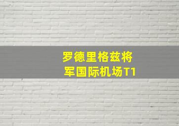 罗德里格兹将军国际机场T1