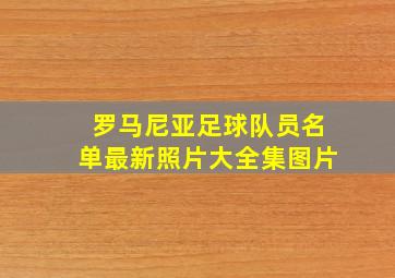 罗马尼亚足球队员名单最新照片大全集图片