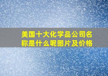 美国十大化学品公司名称是什么呢图片及价格