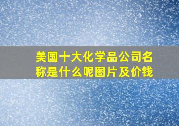 美国十大化学品公司名称是什么呢图片及价钱