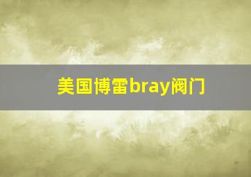 美国博雷bray阀门