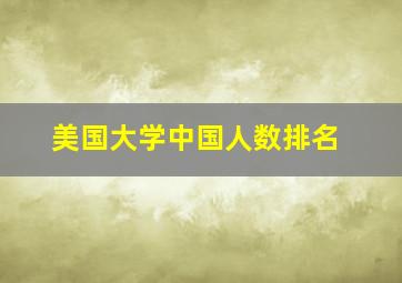 美国大学中国人数排名