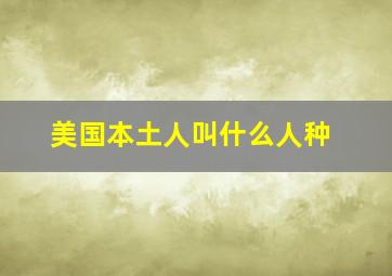 美国本土人叫什么人种