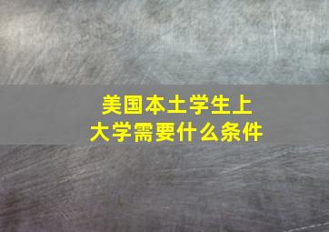 美国本土学生上大学需要什么条件