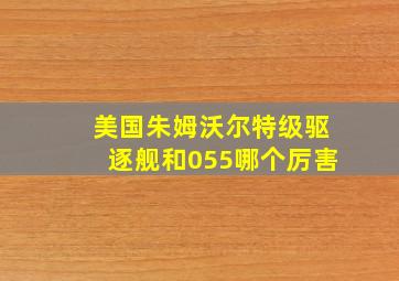 美国朱姆沃尔特级驱逐舰和055哪个厉害