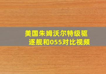 美国朱姆沃尔特级驱逐舰和055对比视频