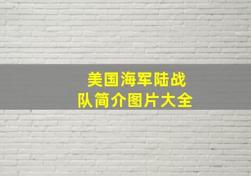 美国海军陆战队简介图片大全