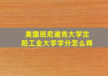 美国班尼迪克大学沈阳工业大学学分怎么得