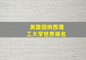 美国田纳西理工大学世界排名