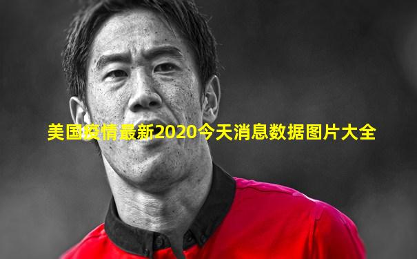 美国疫情最新2020今天消息数据图片大全