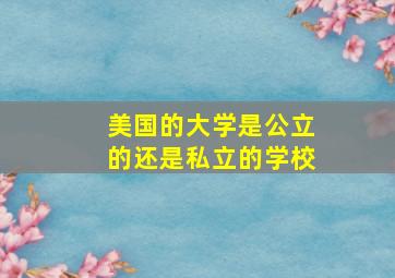 美国的大学是公立的还是私立的学校