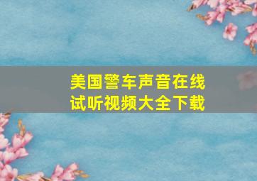 美国警车声音在线试听视频大全下载