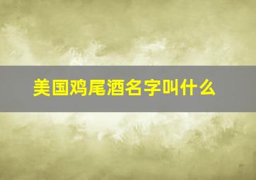 美国鸡尾酒名字叫什么